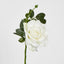 Queen Rose 35cm White