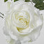 Queen Rose 35cm White