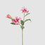 Tiger Lily Spray W/2 Flowers & 1 Bud 71cm Hot Pink (Set of 12)