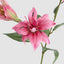 Tiger Lily Spray W/2 Flowers & 1 Bud 71cm Hot Pink (Set of 12)