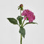 Frilly Dahlia Dark Pink