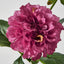 Frilly Dahlia Dark Pink