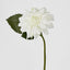 Dahlia 28cm White