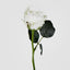 Jessica Rose Bud 31cm White - Pack of 24