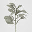 Lambs Ear Short Spray Dark Green