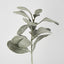 Lambs Ear Short Spray Dark Green