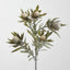 Protea Spray 77cm Cream - Pack of 24