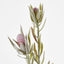 Protea Spray 77cm Burgundy