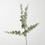 Eucalyptus Flocked Spray 74cm Grey - Pack of 24