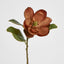 Magnolia Stem 74cm Brown