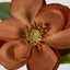 Magnolia Stem 74cm Brown