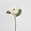 Magnolia Stem with 3 Leaves 74CM White