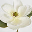 Magnolia Stem with 3 Leaves 74CM White