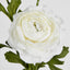 Ranunculus Spray x 3 White - Pack of 12