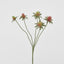Thistle Spray Red - Pack of 24