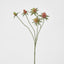 Thistle Spray Red - Pack of 24