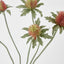 Thistle Spray Red - Pack of 24