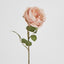 Cabbage Rose 63cm Pink - Pack of 12
