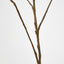 Curly Twig Brown