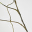 Curly Twig Dark Brown