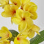 Yellow Frangipani Spray