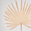 Sun Palm Leaf Light Brown