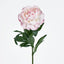 Peony Stem 66cm Pink - Pack of 12
