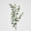 Eucalyptus Spray 97cm - Pack of 12