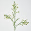 Wax Flower Cream 64cm - Pack of 12