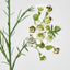 Wax Flower Cream 64cm - Pack of 12
