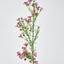 Wax Flower Dark Pink 64cm - Pack of 12