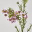 Wax Flower Lilac 64cm - Pack of 12