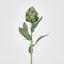 Artichoke Stem 58cm Green - Pack of 24