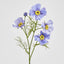 Cosmos Spray 64cm Lavender - Pack of 24