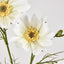 Cosmos Spray 64cm White - Pack of 24