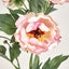 Peony Spray 64cm Pink - Pack of 24