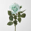Colin Rose 64cm Green - Pack of 12