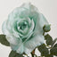 Colin Rose 64cm Green - Pack of 12