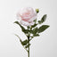 Colin Rose  64cm Pink