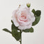Colin Rose  64cm Pink