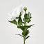 Colin Rose 64cm White