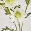 Daisy Spray 74cm White