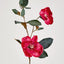 Magnolia Spray 84cm Pink (Set of 12)