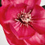 Magnolia Spray 84cm Pink (Set of 12)