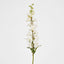 Delphinium Spray 91cm White - Pack of 12