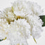 Frilly Peony Bouquet White - Pack of 12