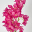 Bougainvillea Branch 83cm Fuchsia - Pack of 24