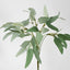 Eucalyptus Leaf Bush 40cm Green