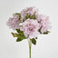 Marigold Bush x 5 Heads Pink