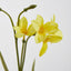 Daffodil Spray 50cm Yellow - Pack of 36